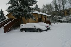 Snow, December 2008