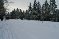 Snow, December 2008