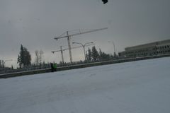 Snow, December 2008