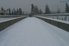Snow, December 2008