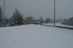 Snow, December 2008