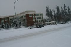 Snow, December 2008