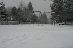 Snow, December 2008
