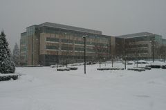 Snow, December 2008