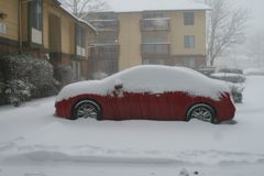 Snow, December 2008
