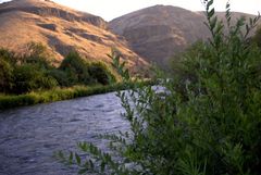 Ellensburg