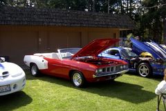Muscle Car Show