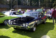 Muscle Car Show