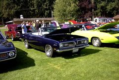 Muscle Car Show