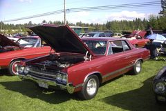 Muscle Car Show