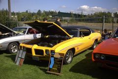 Muscle Car Show