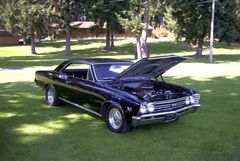 Muscle Car Show