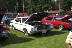 Muscle Car Show