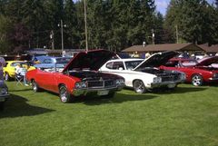 Muscle Car Show