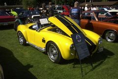 Muscle Car Show
