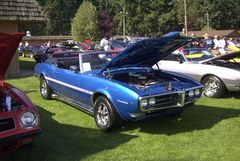 Muscle Car Show