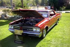 Muscle Car Show