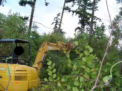 Ameteur Excavation Demonstration