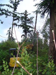 Ameteur Excavation Demonstration