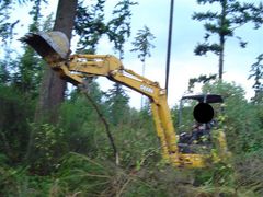Ameteur Excavation Demonstration